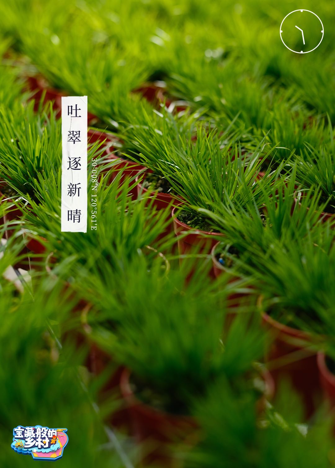 信息遁入虚无境，刷新使它不再虚无